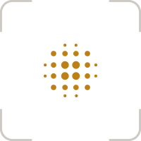 Viogram Labs Foundation